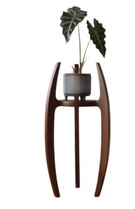 78009-removebg-preview (1)